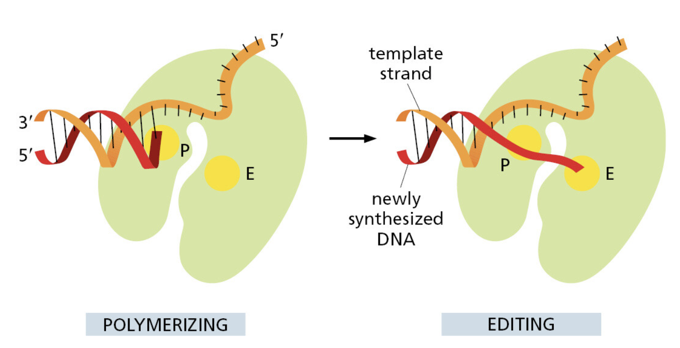 Figure 5-9.png